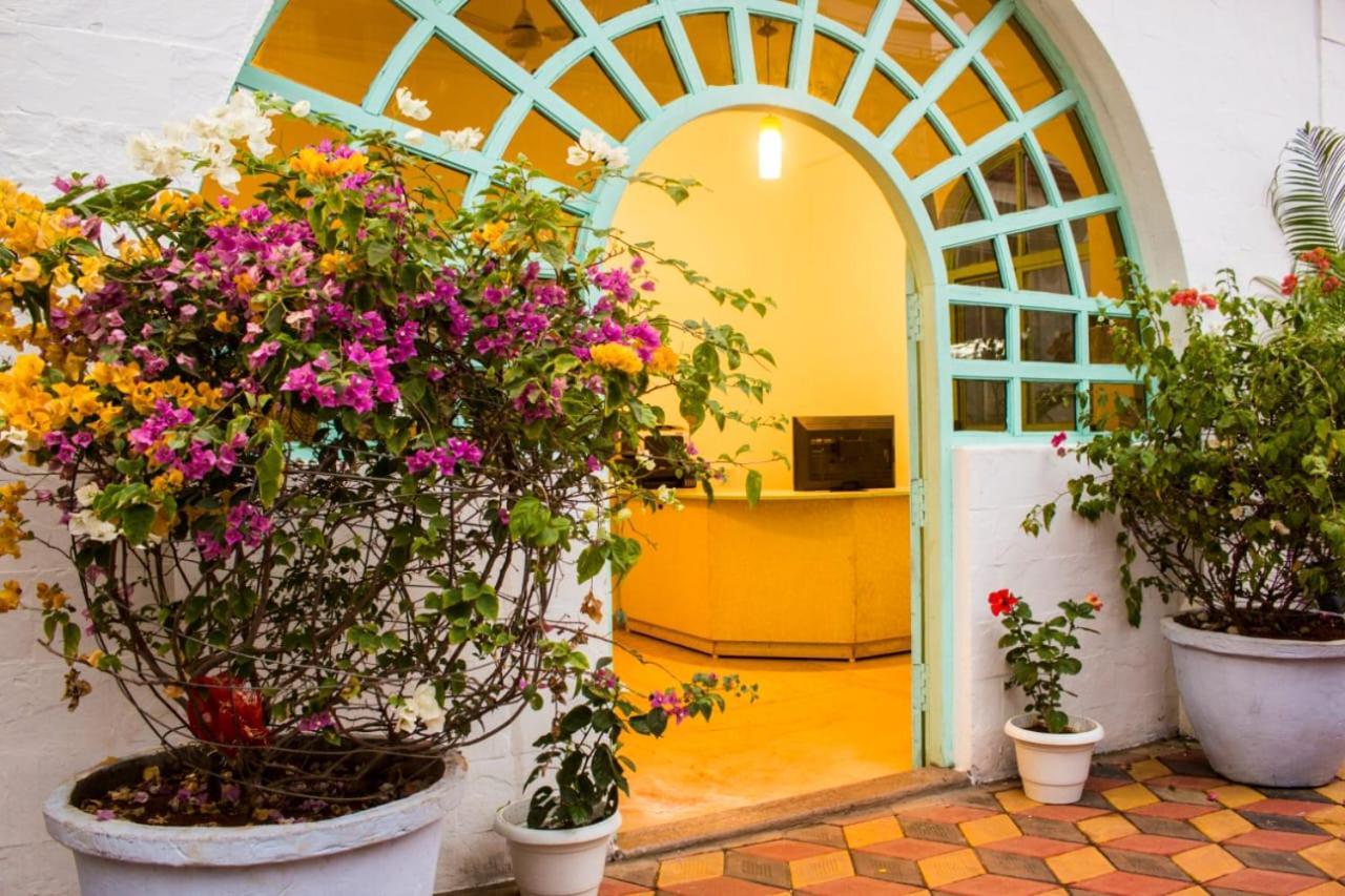Turquoiise House Otel Morjim Dış mekan fotoğraf